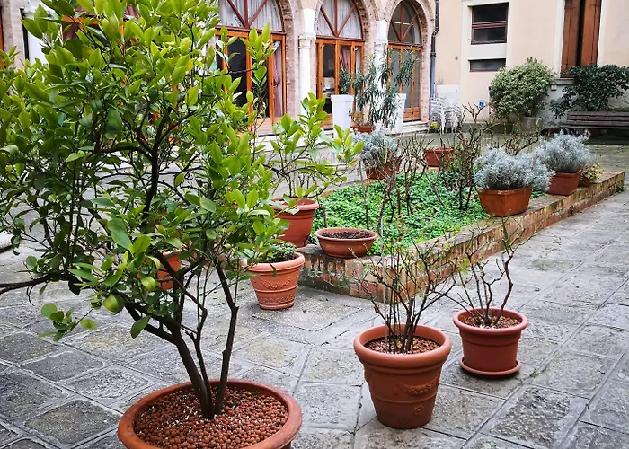 Hotel Domus Ciliota