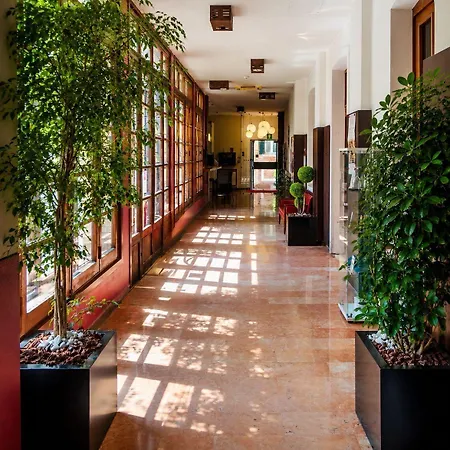 Hotel Domus Ciliota 3*