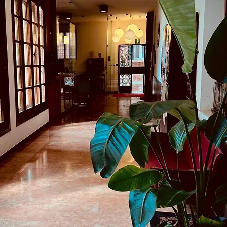 Domus Ciliota 3* Venice